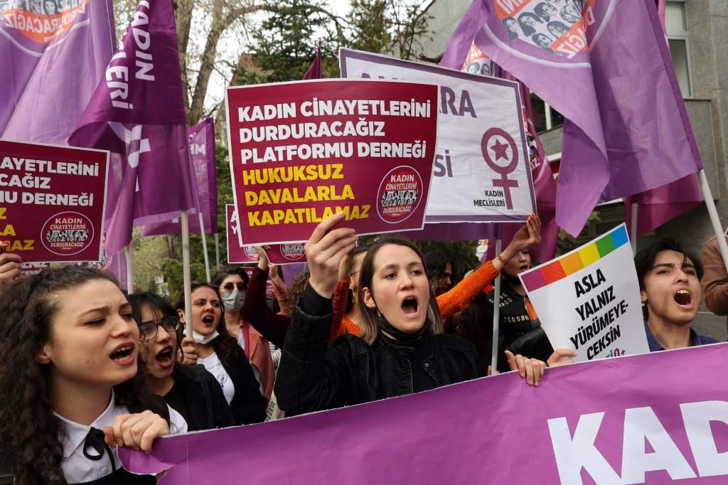 يقول We Will Stop Femicide أن 280 امرأة قُتلت في تركيا العام الماضي ، والعديد من جرائم القتل التي ارتكبها أفراد الأسرة (أ ف ب)