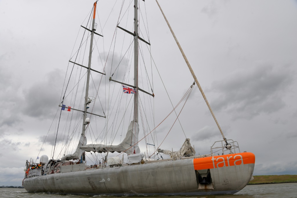 غادرت سفينة الأبحاث تارا ميناء لوريان في فرنسا في ديسمبر 2020 للشروع في رحلة طولها 70 ألف كيلومتر. منذ ذلك الحين اجتازت سواحل تشيلي والبرازيل والأرجنتين ، وكذلك بحر ويديل في القارة القطبية الجنوبية (أ ف ب)