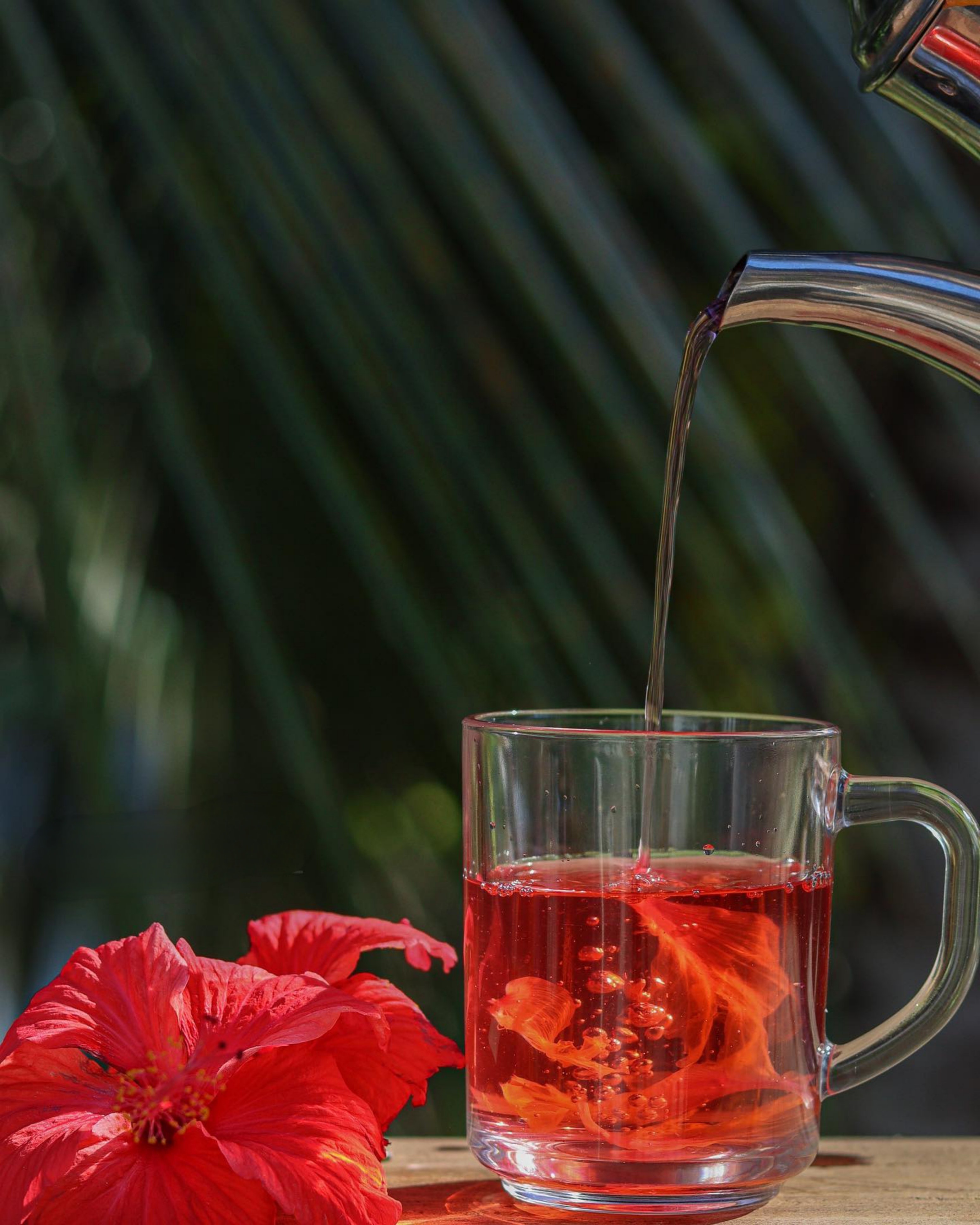 تناول شاي الكركديه يمكن أن يساعد في تقليل وخفض مستويات الدهون في الدم (بيكسيلز)