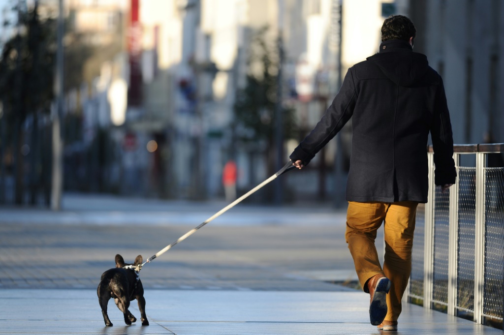  رجل يمشي مع كلبه في غرب فرنسا في الثاني من شباط/فبراير 2014 (ا ف ب)
