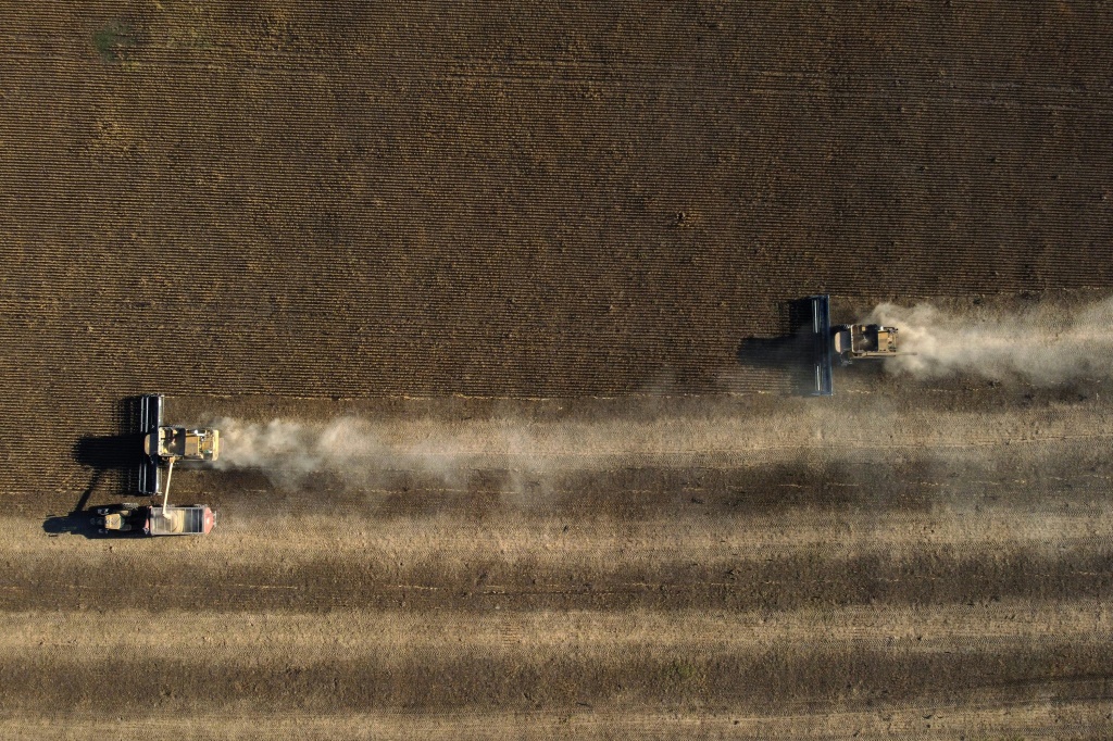 تستورد الأرجنتين حوالي 60 في المائة من الأسمدة اللازمة لزراعة الغذاء (ا ف ب)
