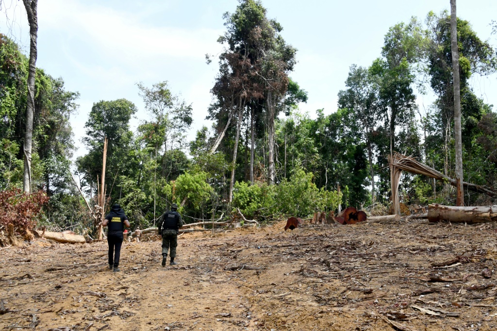 مسؤولون في ولاية بارا شمال البرازيل يقومون أثر إزالة الغابات في الأمازون في منطقة باكاجا في 22 أيلول/سبتمبر 2021 (ا  ف ب)