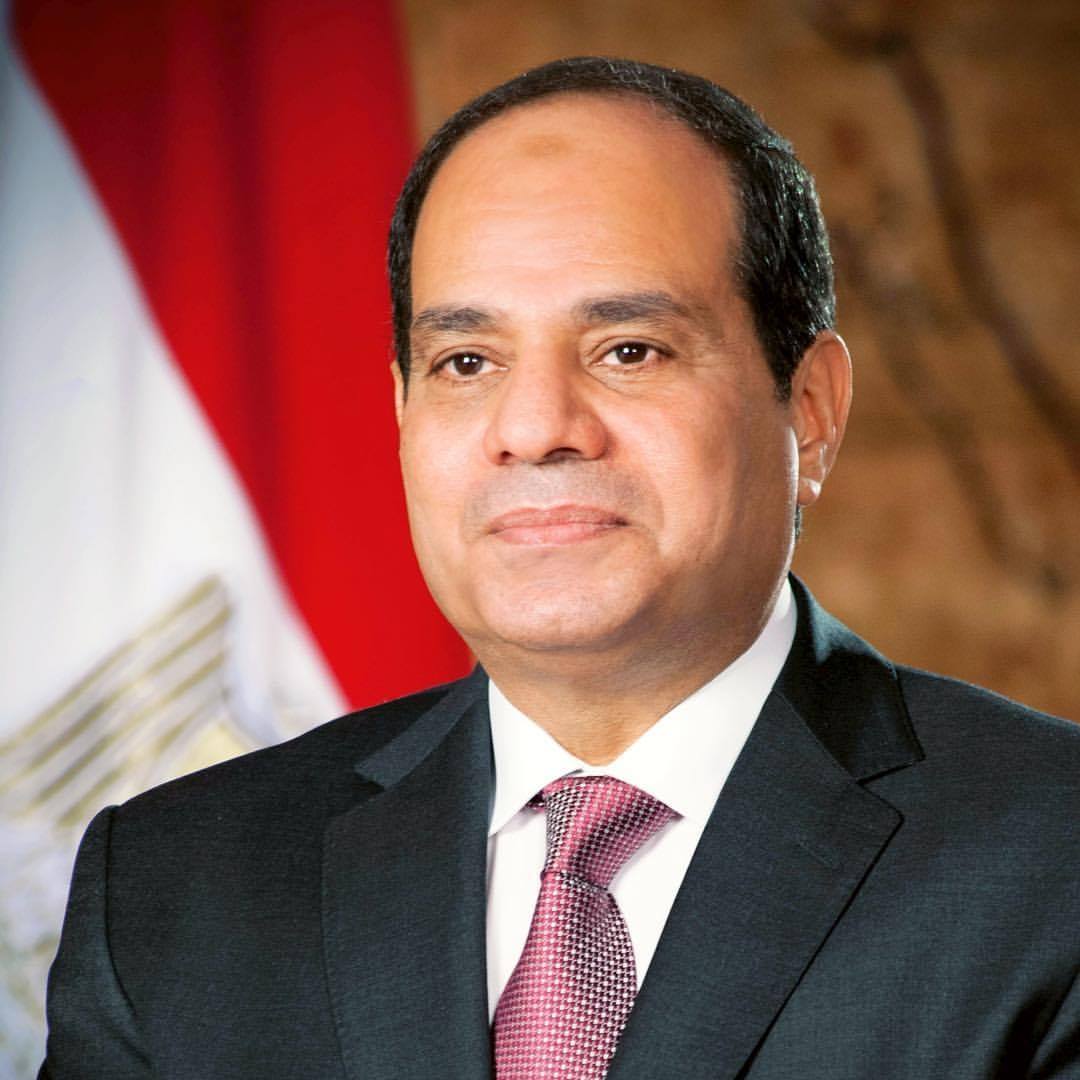 الرئيس المصري عبد الفتاح السيسي (موقع رئاسة الجمهورية)