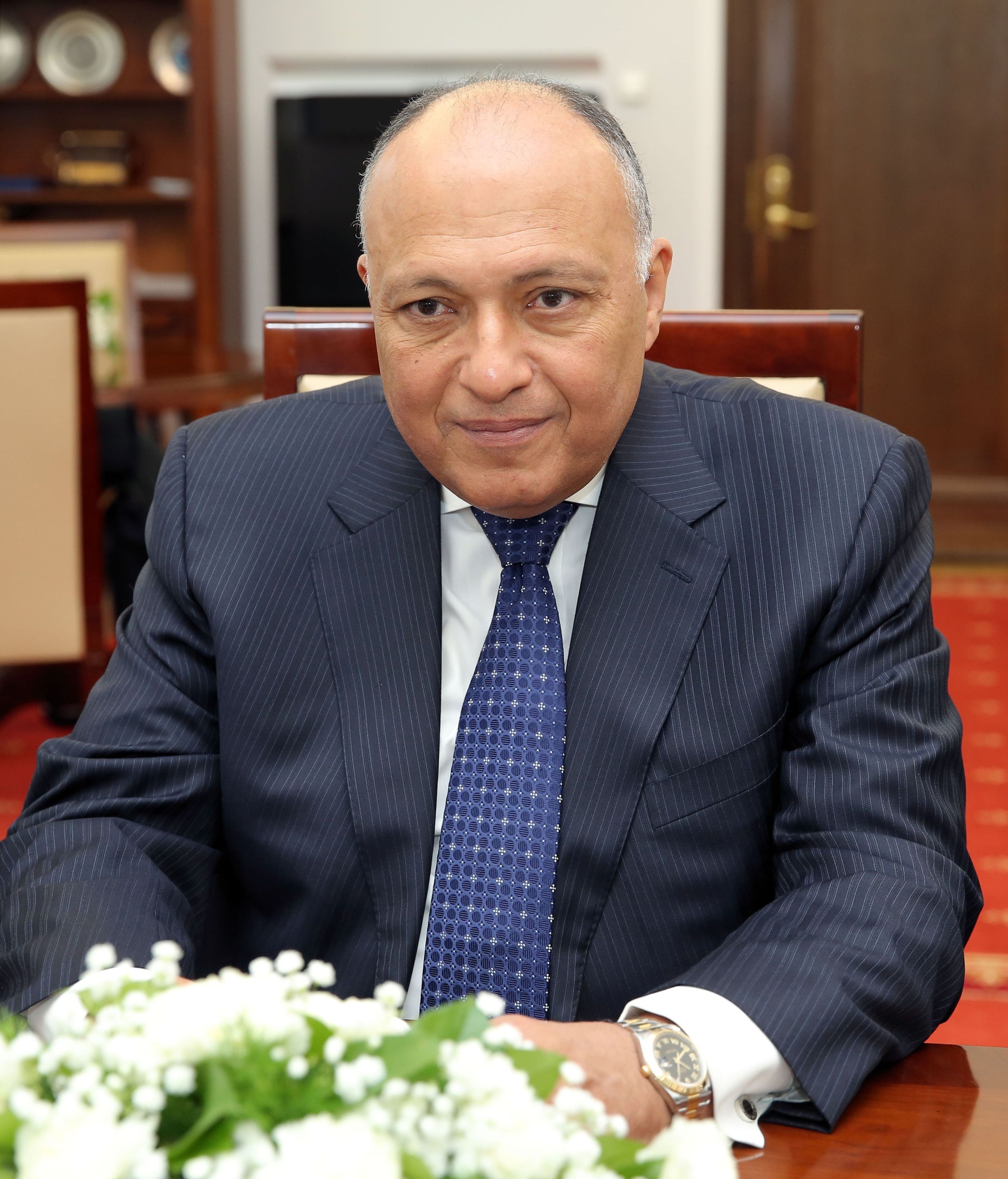 وزير الخارجية المصري سامح شكري (ويكبيديا)