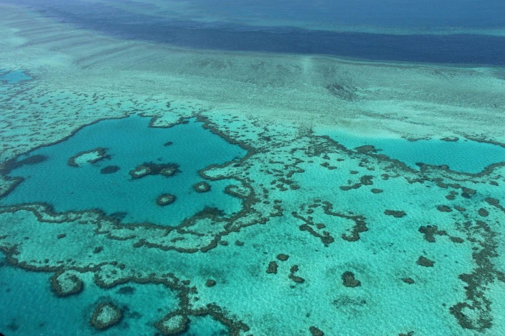 لقطة جوية تظهر حيزا من الحاجز المرجاني العظيم في 20 تشرين الثاني/نوفمبر 2014 (ا ف ب)