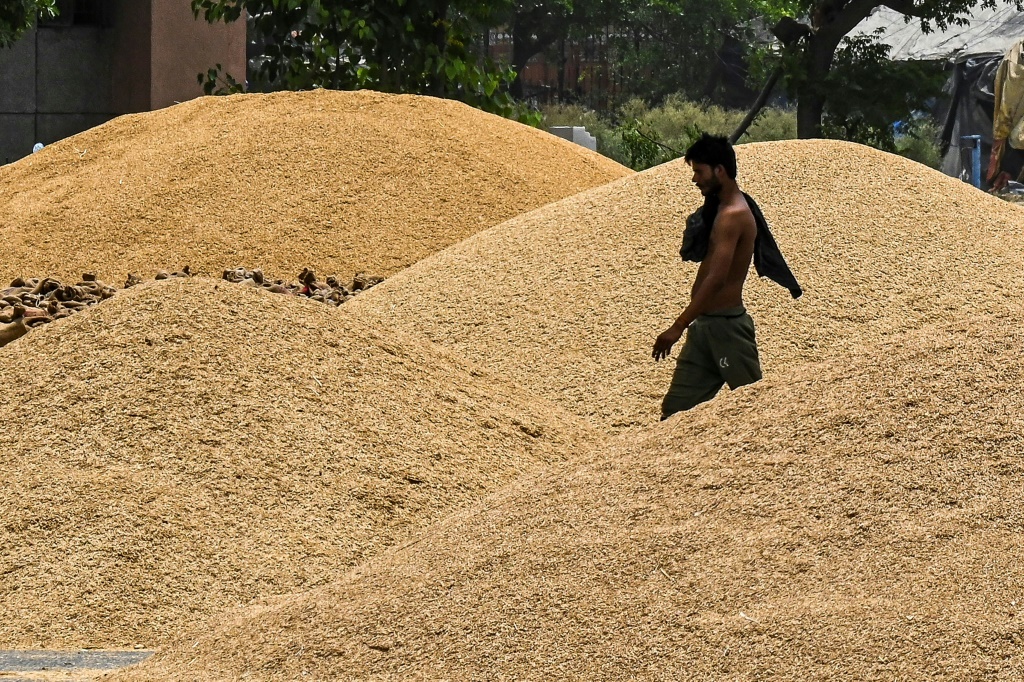 عامل يسير بجانب أكوام من القمح في سوق لبيع الحبوب بالجملة في نيو دلهي في 18 أيار/مايو 2022 (أ ف ب)