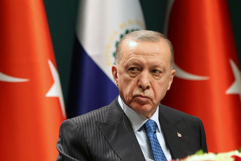 الرئيس التركي رجب طيب إردوغان (أ ف ب)