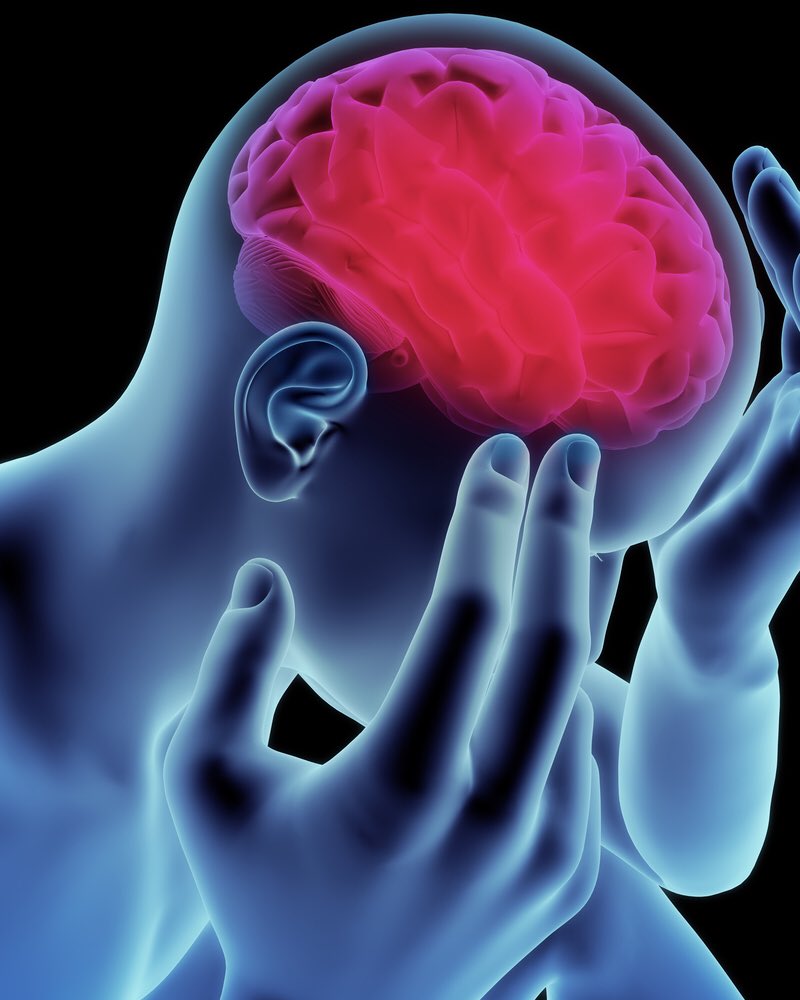 كيف يؤثر التوتر سلباً على حجم الدماغ؟ (التواصل الاجتماعي)