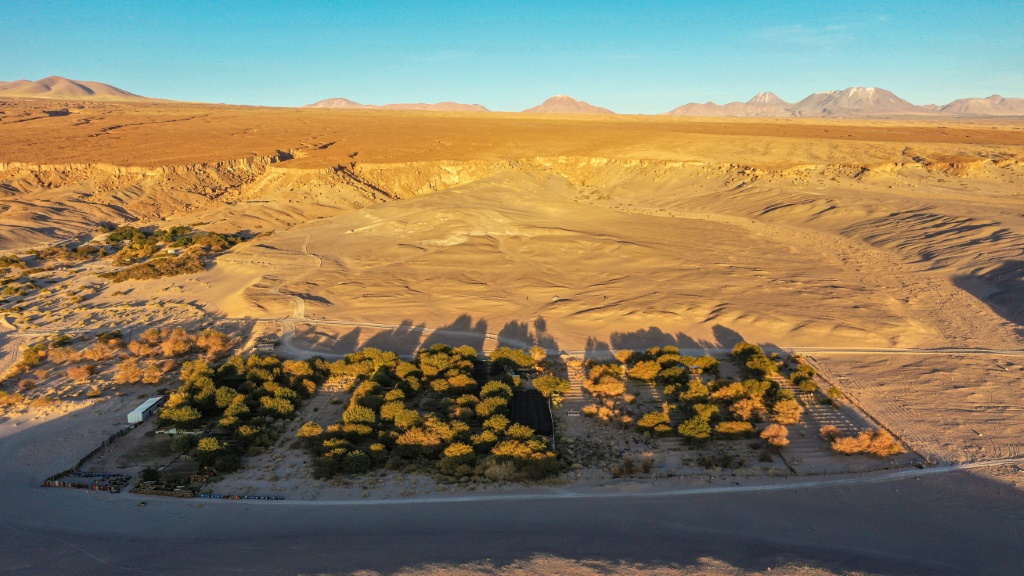 كرم عنب وسط صحراء أتاكاما في تشيلي في 24 أيار/مايو 2022 (أ ف ب)