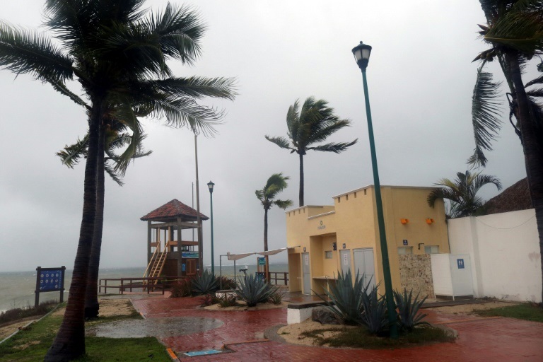 الرياح تعصف بأشجار النخيل في منطقة واتولكو في جنوب المكسيك مع اقتراب الإعاصار أغاتا (ا ف ب)