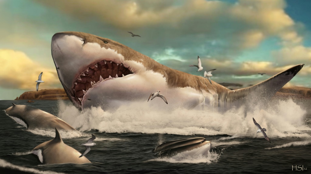 تجسيد فني للقرش ذي الأسنان الكبيرة (أوتودوس ميغالودون) الذي انقرض وحل مكانه القرش الأبيض الكبير (اف ب)