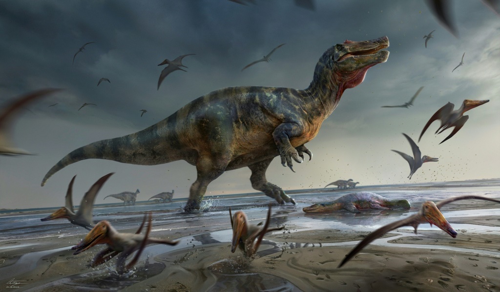 رسم فنان للسبينوصوريد الضخم وايت روك ، والذي تم اكتشافه في جزيرة وايت بالمملكة المتحدة (ا ف ب)