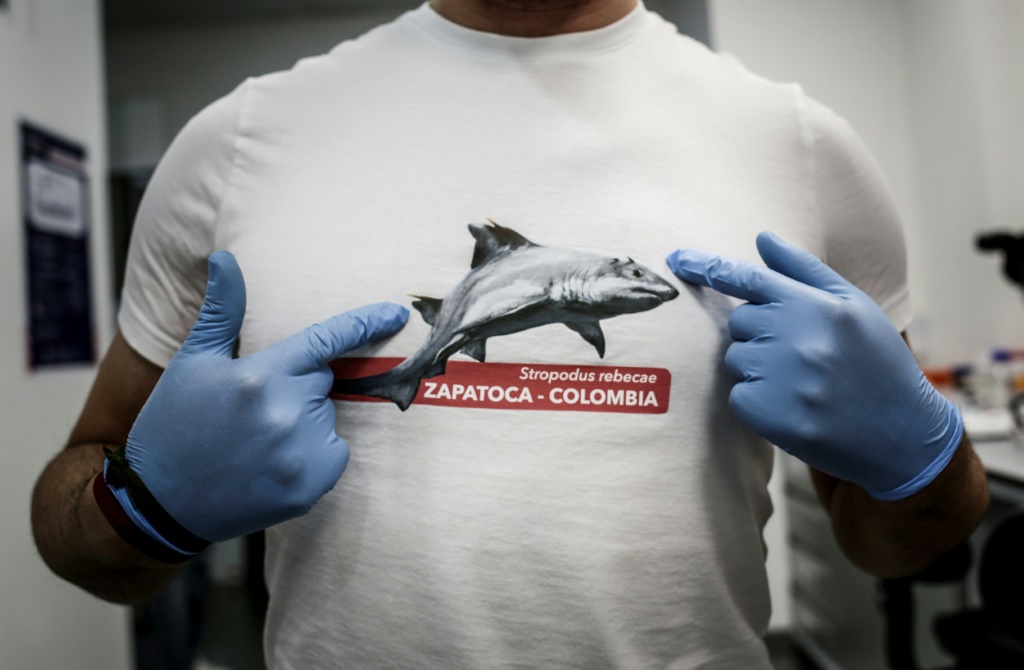 صورة التقطت في بوغوتا في 9 حزيران/يونيو 2022 لقميص عليها رسم لسمكة قرش من نوع 