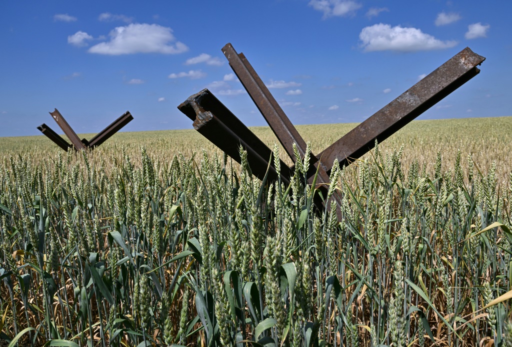 المزارعون اليائسون في أوكرانيا محاصرون بحصار الحبوب   (ا ف ب)