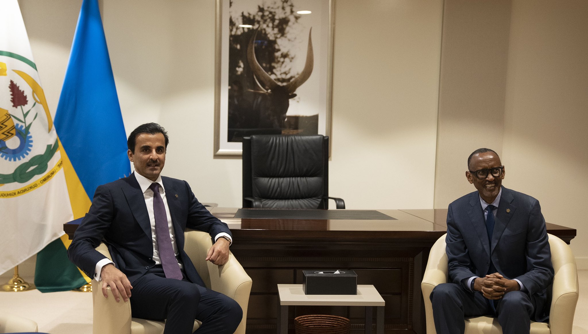   الأمير القطري يلتقي الرئيس الرواندي (قنا)
