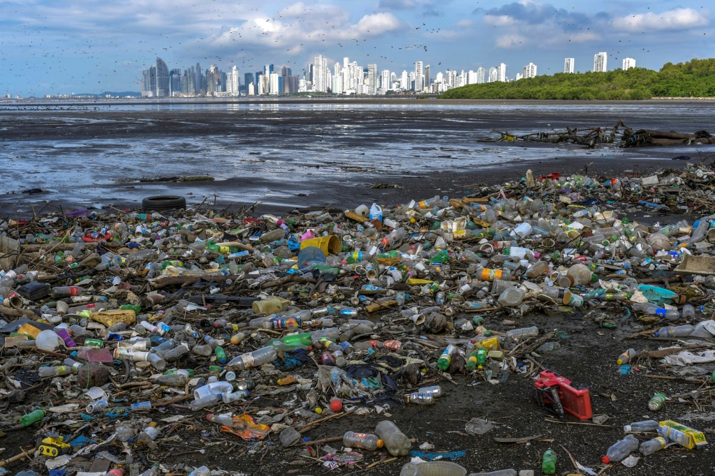 وفقا للاتجاهات الحالية، يمكن أن يؤدي التلوث والصيد الجائر إلى رؤية كمية من البلاستيك في المحيطات تعادل كمية الأسماك بحلول منتصف القرن. (ا ف ب)