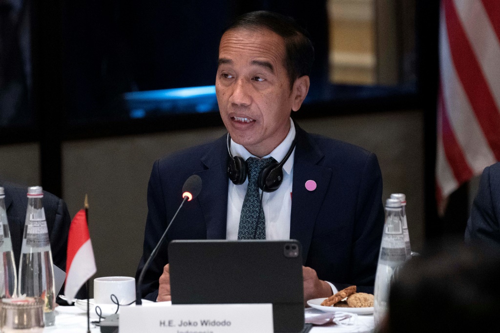 وتتولى إندونيسيا الرئاسة الدورية لمجموعة العشرين هذا العام (أ ف ب)