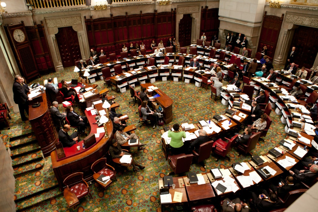 مجلس شيوخ ولاية نيويورك منعقد في 16 حزيران/يونيو 2011 (ا ف ب)