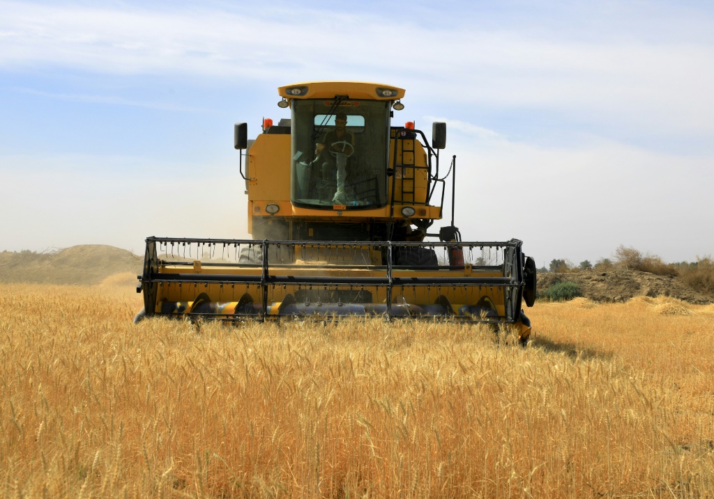 مزارع يحصد محصوله من القمح في حقل قرب ازمايل في منطقة أوديسا الأوكرانية في 14 حزيران/يونيو 2022 في ظل الهجوم الروسي على البلد (أ ف ب)