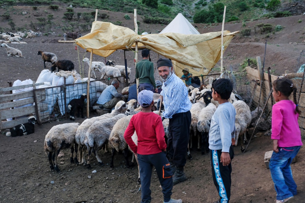 الراعي الأفغاني عبد الله عمري يتحدث مع أطفال في تونجلي بمنطقة جبال الأناضول الشرقية في تركيا في 12 حزيران/يونيو 2022 (أ ف ب)