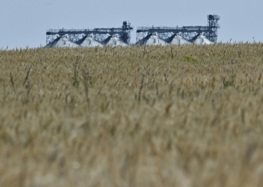    حصاد القمح في أحد حقول منطقة دونباس بشرق أوكرانيا في الأول من تموز/يوليو 2022 (أ ف ب)