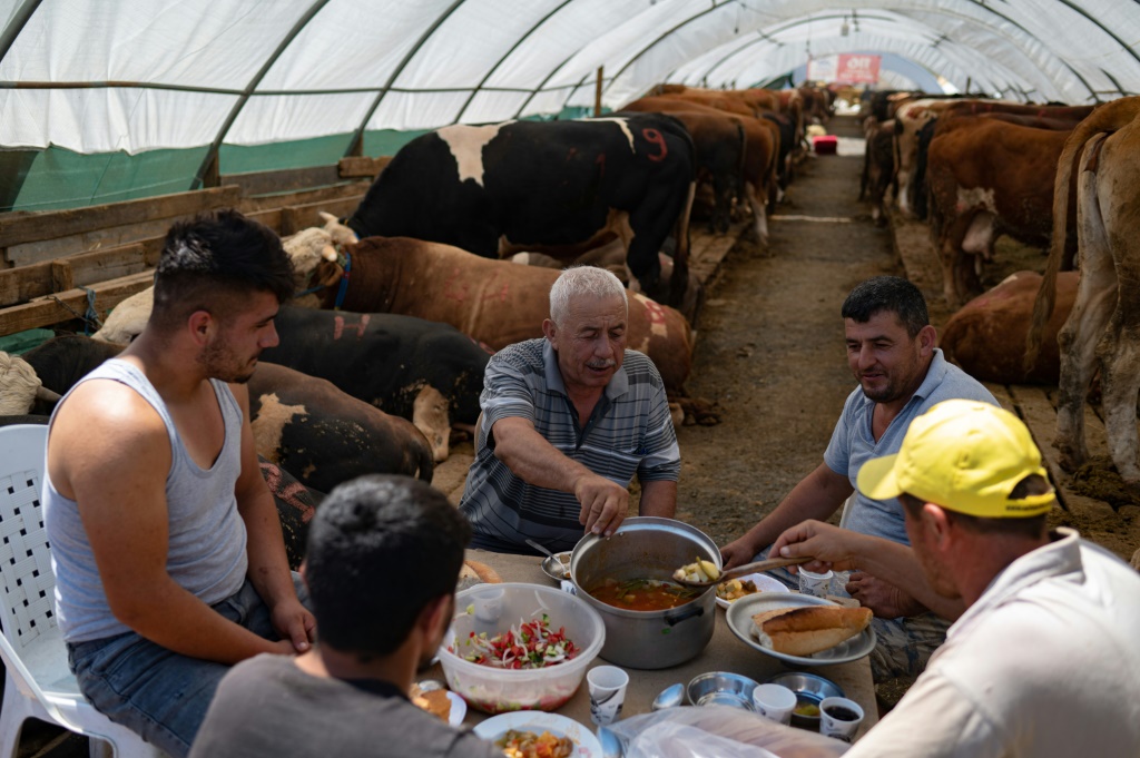 يخشى الأتراك الذين يكسبون عيشهم من تربية الحيوانات وبيعها في الأسواق المفتوحة أن نموذج أعمالهم قد ينهار قريبًا(أ ف ب)