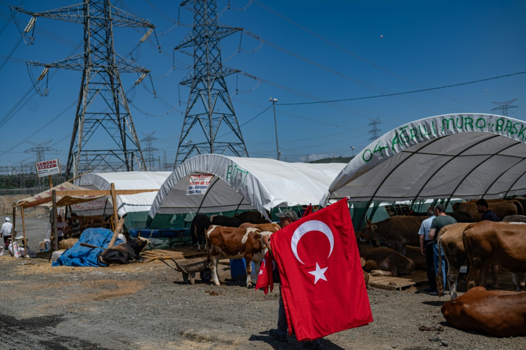 بائع أعلام يسير بالقرب من الأضاحي لمناسبة عيد الأضحى في سوق في اسطنبول في 2 تموز/يوليو 2022 (ا ف ب)
