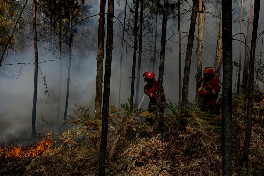 رجال إطفاء برتغاليون يخمدون حريقا في إيسبيت في 13 تموز/يوليو 2022 (أ ف ب)