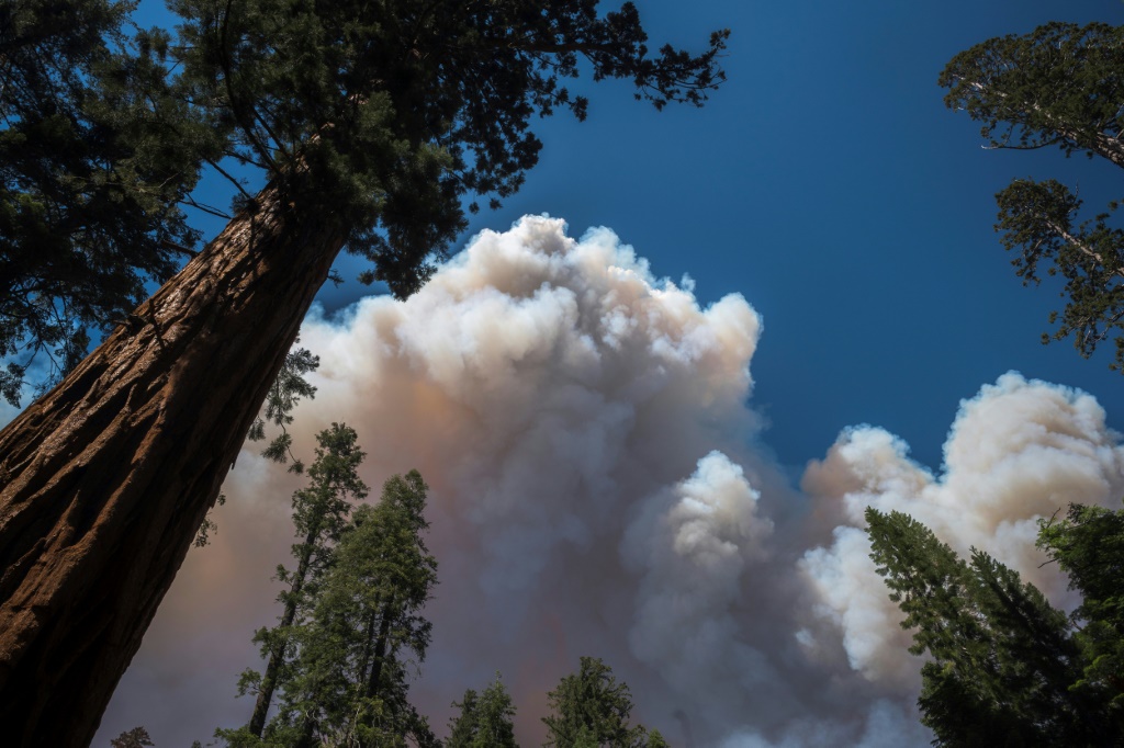    دخان متصاعد جراء حريق في متنزه يوسيميتي الوطني في كاليفورنيا في 11 تموز/يوليو 2022 (أ ف ب)