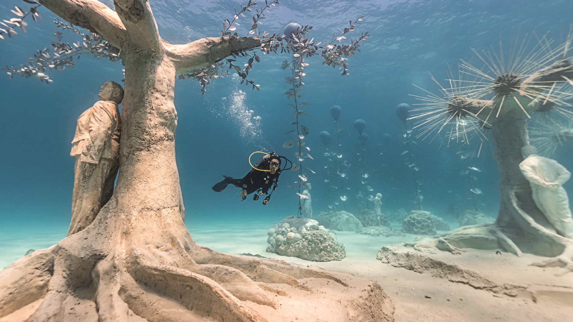 متحف موسان غابة مبهرة تحت الماء (زهرة الخليج)