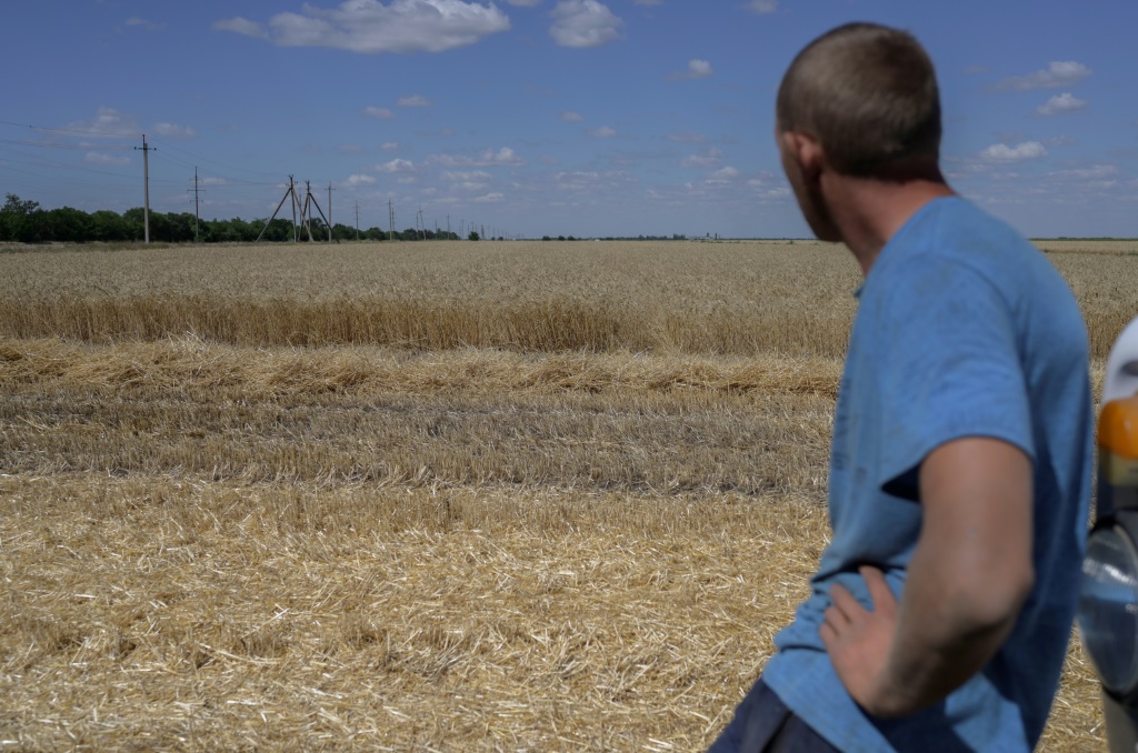 مزارع في حقله المزروع بالقمح قرب ميكولاييف بجنوب أوكرانيا في 21 تموز/يوليو 2022(ا ف ب)