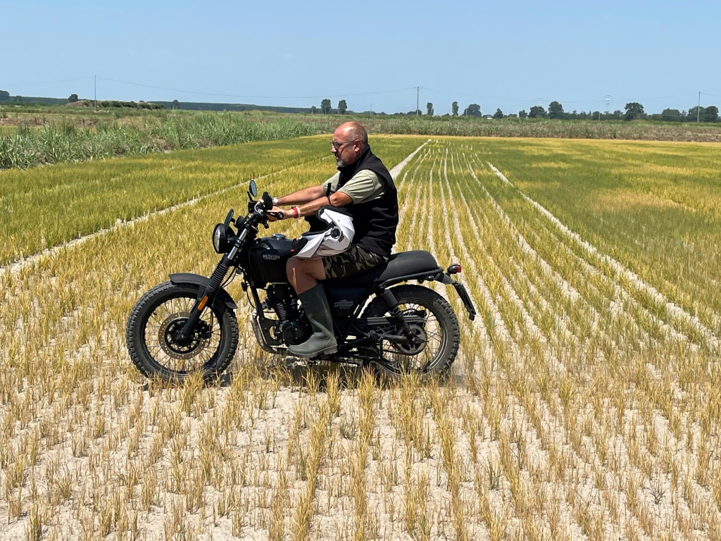    مزراع الأرز داريو فيتسيني يعبر بدارجته النارية أحد حقوله في زيمي في 18 تموز/يوليو 2022 (أ ف ب)