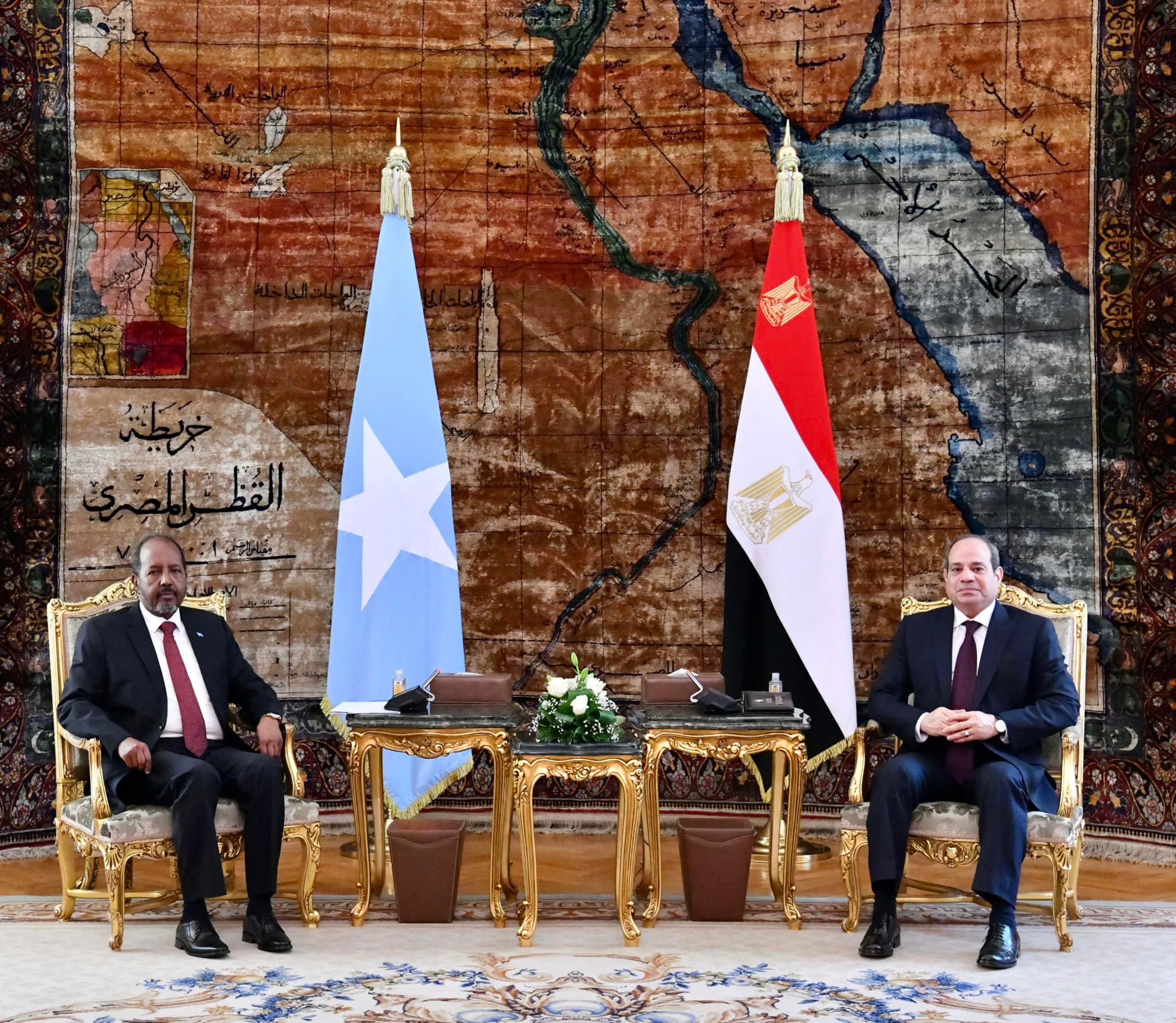 الرئيس المصري عبدالفتاح السيسي مع نظيره الصومالي حسن شيخ محمود (الرئاسة المصرية)