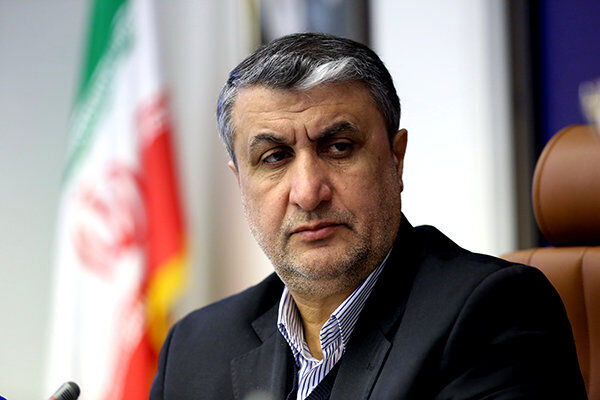 رئيس منظمة الطاقة الذرية في إيران محمد إسلامي (ارنا)
