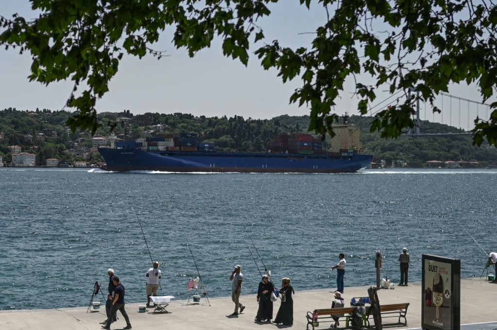  سفينة شحن تعبر البوسفور في قلب اسطنبول في 30 أيار/مايو 2022 (ا ف ب)