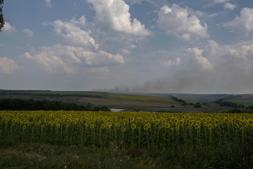 عمود من الدخان في الأفق، ليس بعيداً عن حقل عباد الشمس في منطقة دونباس، في 11 آب/أغسطس 2022 (أ ف ب)