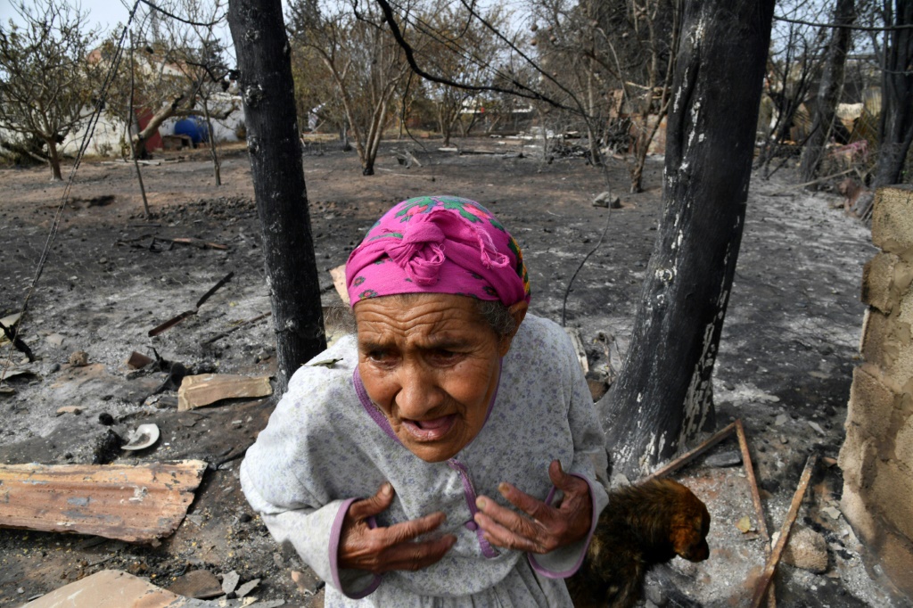 امرأة جزائرية أمام منزلها المتفحّم جراء حريق غابة في مدينة القلعة الجزائرية في 18 آب/أغسطس 2022 (ا ف ب)