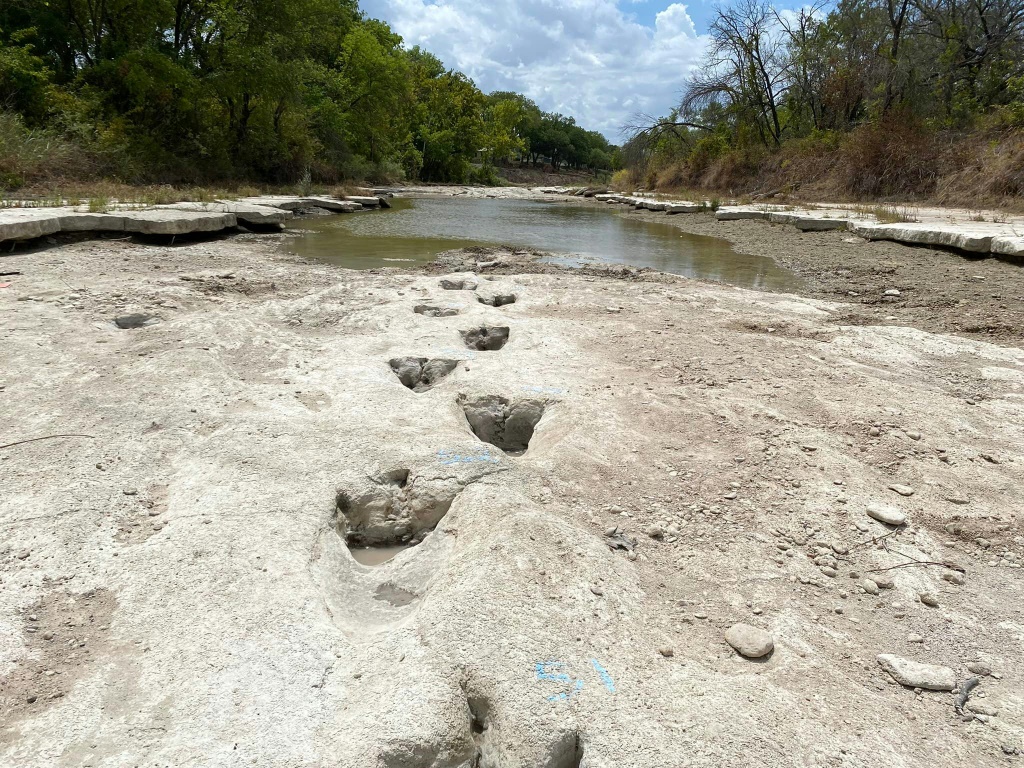 صورة وزعها في 23 ’ب/أغسطس 2022 متنزه "وادي الديناصورات" في ولاية تكساس الأميركية لآثار أقدام ديناصورات في قاع نهر داخل المتنزه (ا ف ب)