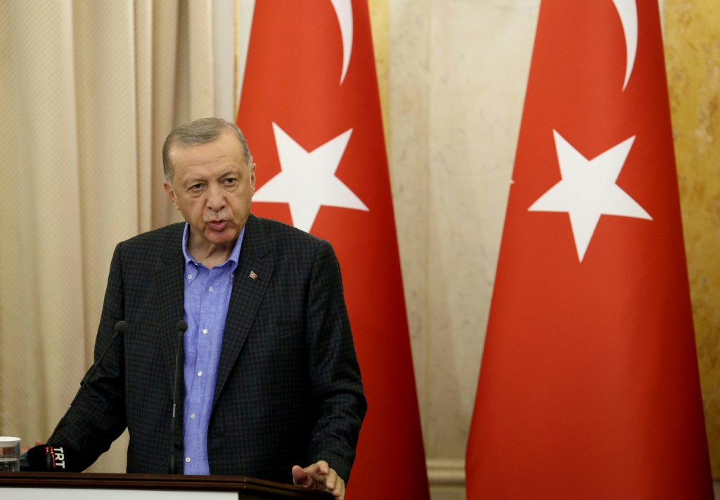 الرئيس التركي إردوغان خلال مؤتمر صحافي في لفيف الأوكرانية في 18 آب/أغسطس 2022 (ا ف ب)