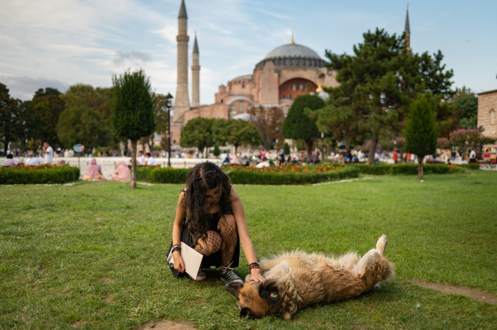 امرأة تداعب كلباً مقابل مسجد آيا صوفيا في اسطنبول في 23 آب/أغسطس 2022 (ا ف ب)