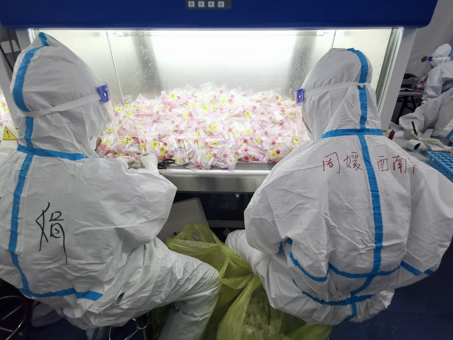في الصورة الملتقطة يوم 4 سبتمبر 2022، عاملان طبيان يتعاملان مع عينات الحمض النووي في مختبر في مدينة تشنغدو حاضرة مقاطعة سيتشوان بجنوب غربي الصين. (شينخوا)