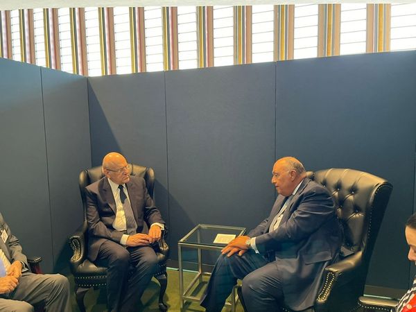  وزير الخارجية المصري سامح شكري مع رئيس وزراء لبنان نجيب ميقاتي (الخارجية المصرية)