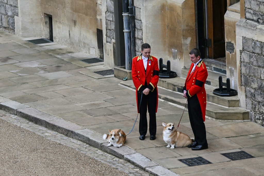 كلابي الملكة إليزابيث الثانية "مويك" و"ساندي" ينتظران مرور موكب جنازة الملكة على مدخل قلعة وندسور في 19 أيلول/سبتمبر 2022 (ا ف ب)