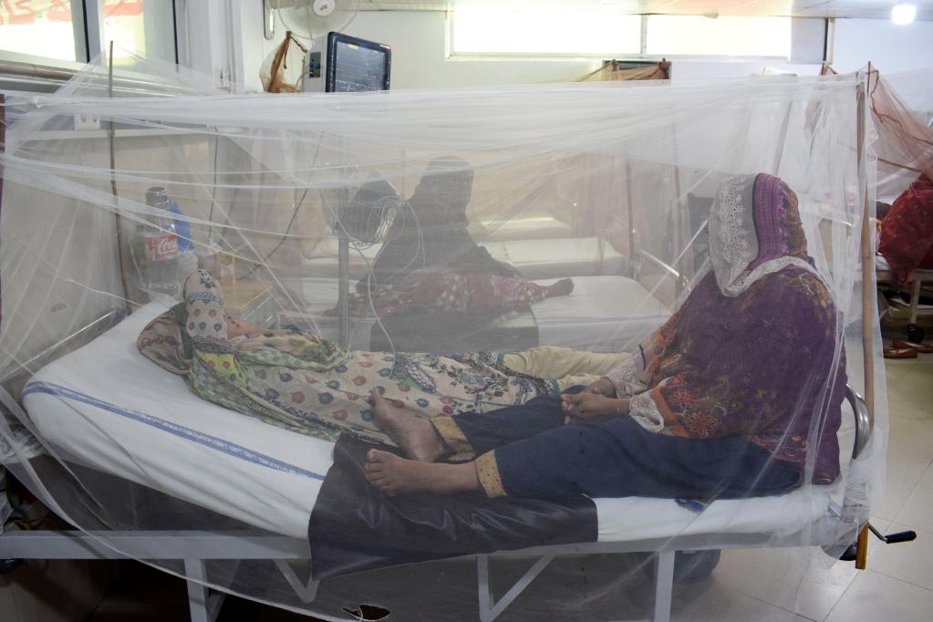 مرضى مصابون بحمى الضنك يتلقون العلاج داخل ناموسيات في مستشفى في لاهور بباكستان في 23 سبتمبر 2022. (شينخوا)