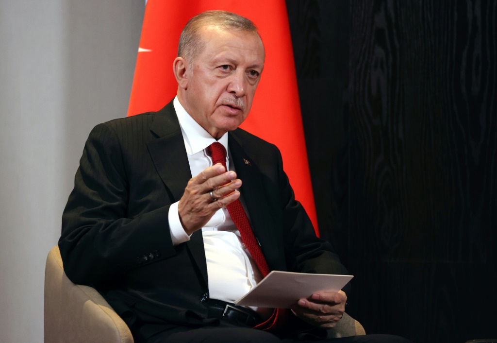الرئيس التركي رجب طيب إردوغان (ا ف ب)
