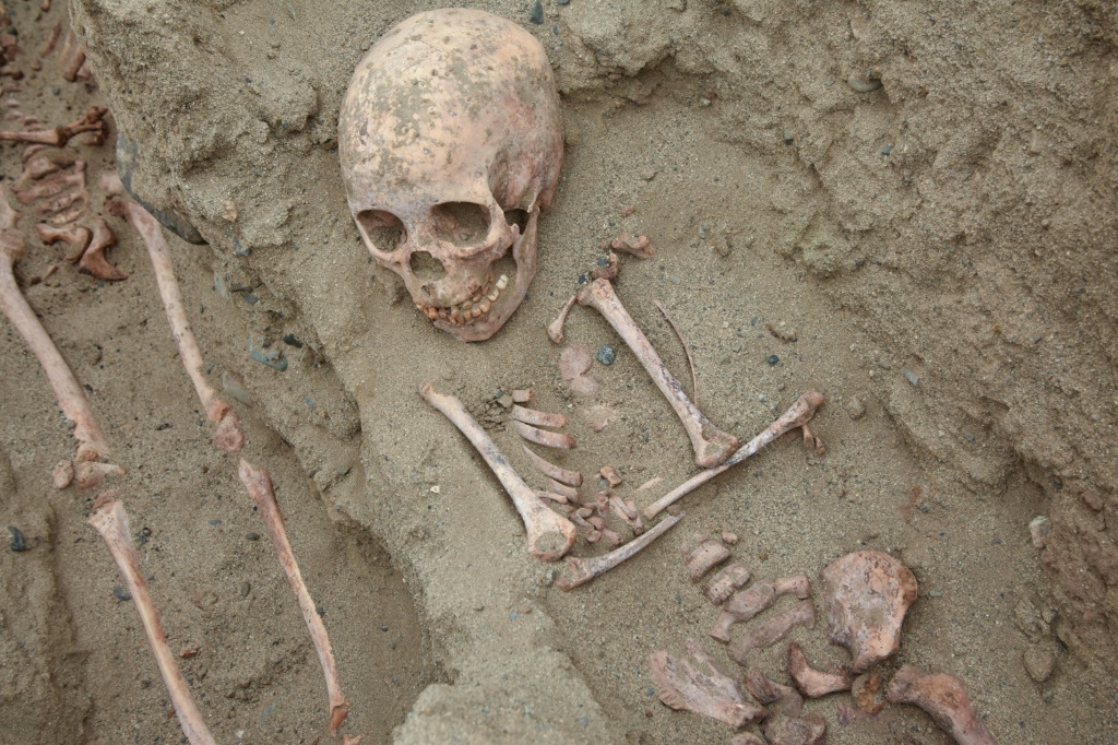 صورة غير مؤرخة وزّعها في 27 أيلول/سبتمبر 2022 برنامج "ذي هوانشاكو أركيولودجيكل بروغرام" تظهر رفات بشرية عُثر عليها شمال البيرو (ا ف ب)