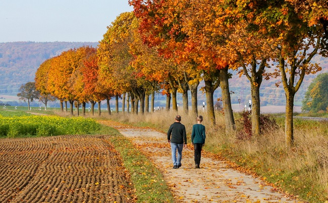 صورة تعبيرية