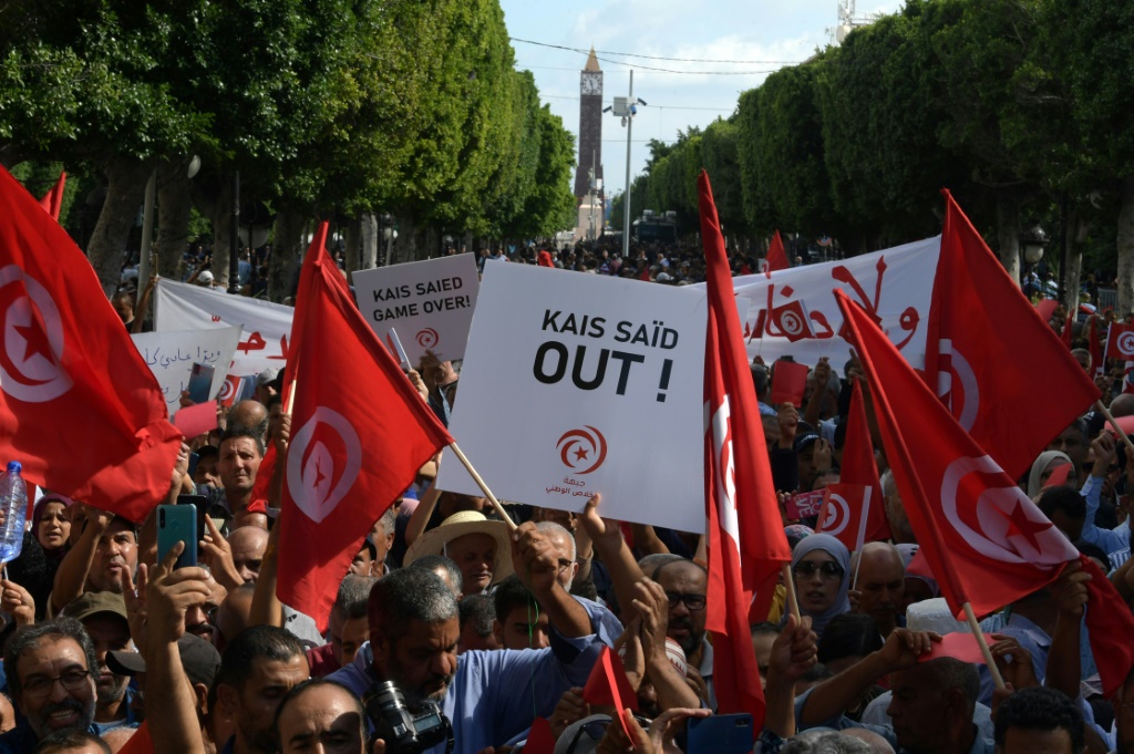    أنصار الحزب الدستوري الحر التونسي يلوحون بالأعلام الوطنية ويرفعون لافتات خلال مظاهرة ضد الرئيس قيس سعيد في العاصمة تونس يوم 15 تشرين الأول/أكتوبر 2022 (أ ف ب)
