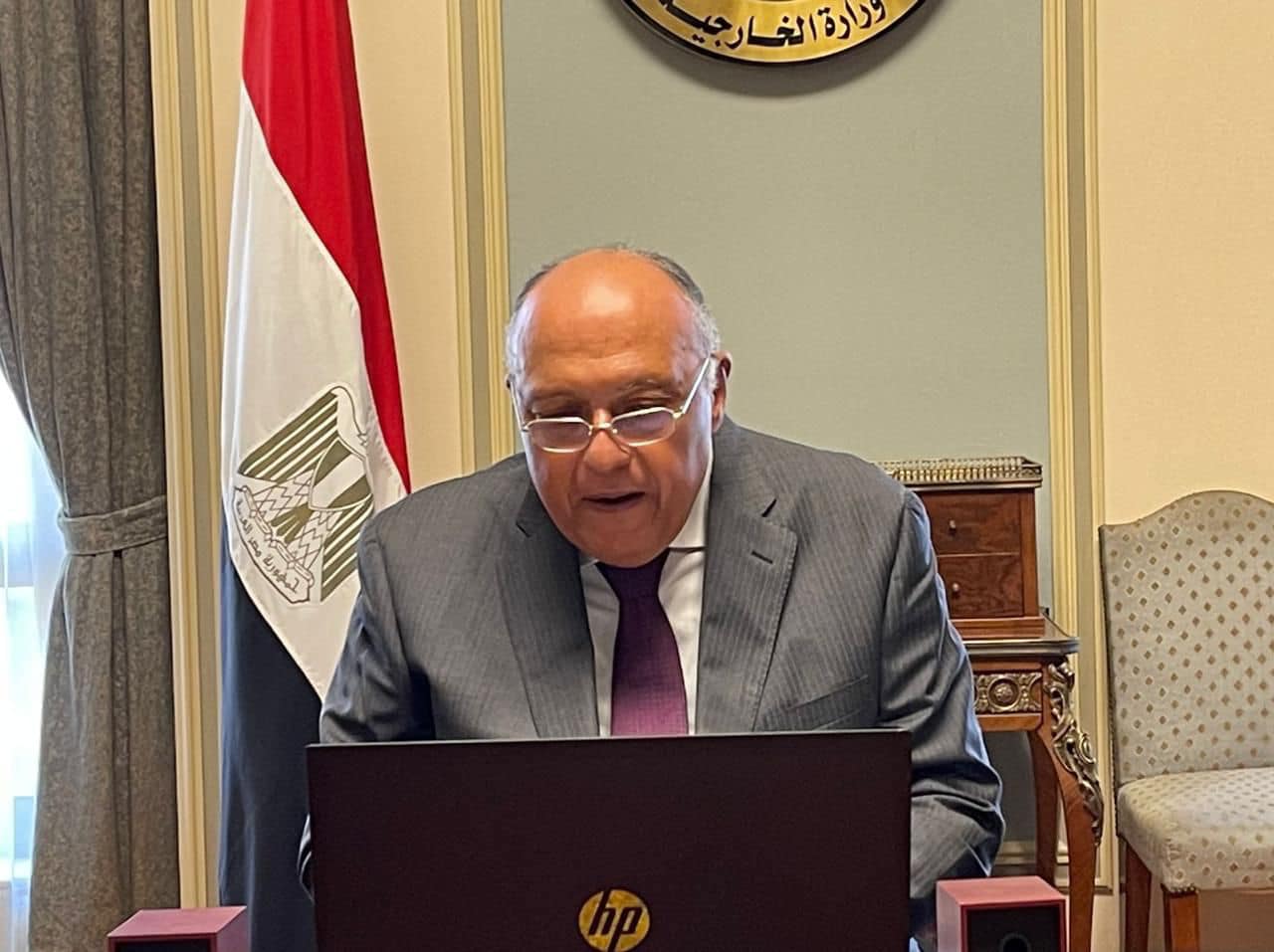 وزير الخارجية المصري سامح شكري (الخارجية المصرية)