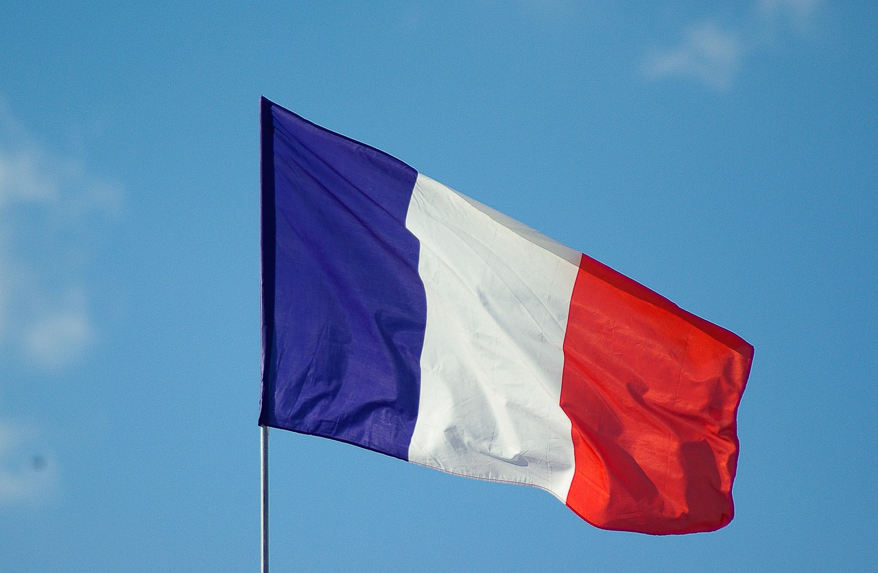 علم فرنسا (بيكسباي)